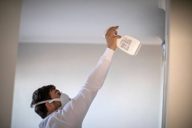 Best Toxic Mold Removal  in Cottage Grove, WI