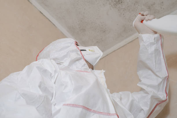 Mold Testing and Removal in Cottage Grove, WI